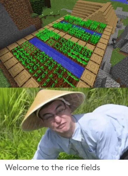 They rice in the fields. Filthy frank rice fields. филти фрэнк welcome to the rice fields. мем welcome to the rice fields. welcome to the rice fields mazafaka.