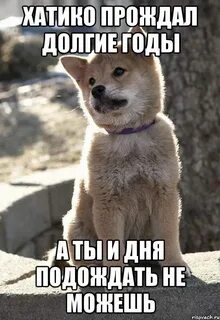 Подожди дай мне минуту