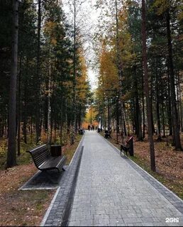 Парки сургута