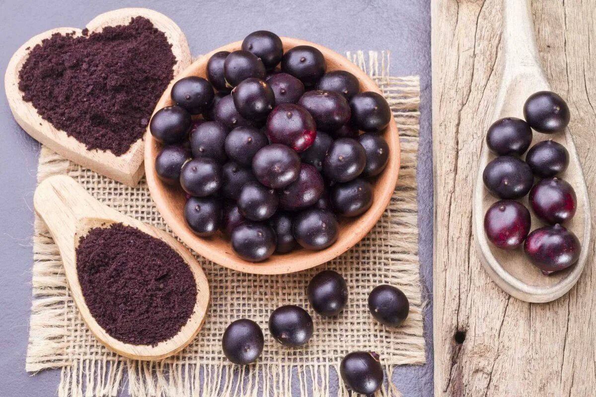 Acai berry. Ягоды асаи. Асаи ягоды асаи. Асаи Берри ягоды. Эвтерпа асаи.