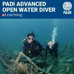 Padi open. Пади опен Ватер дайвер. Сертификат Padi open Water. Пластиковый сертификат Padi Advanced open Water Diver. AOWD Padi сертификат.