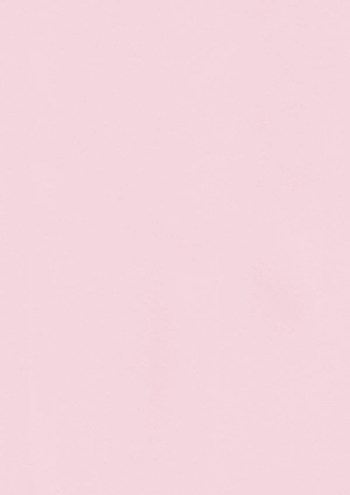 Нежно розовый фон однотонный. Розовый фон. Розовый фон однотонный нежный. Молочно розовый цвет. Нежно розовый однотонный