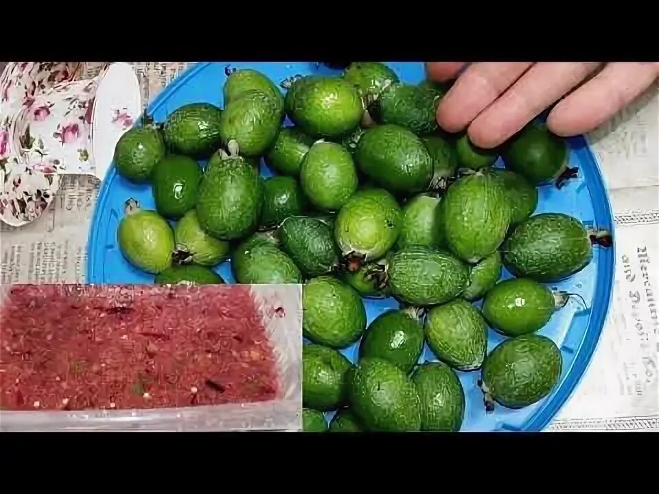 Фейхоа можно заморозить на зиму целиком. Фейхоа можно заморозить на зиму целиком