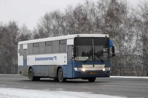 Маршрут 240 маршрутки брянск
