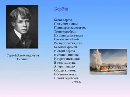 Стихотворение я заглядывал под кочки под березовые
