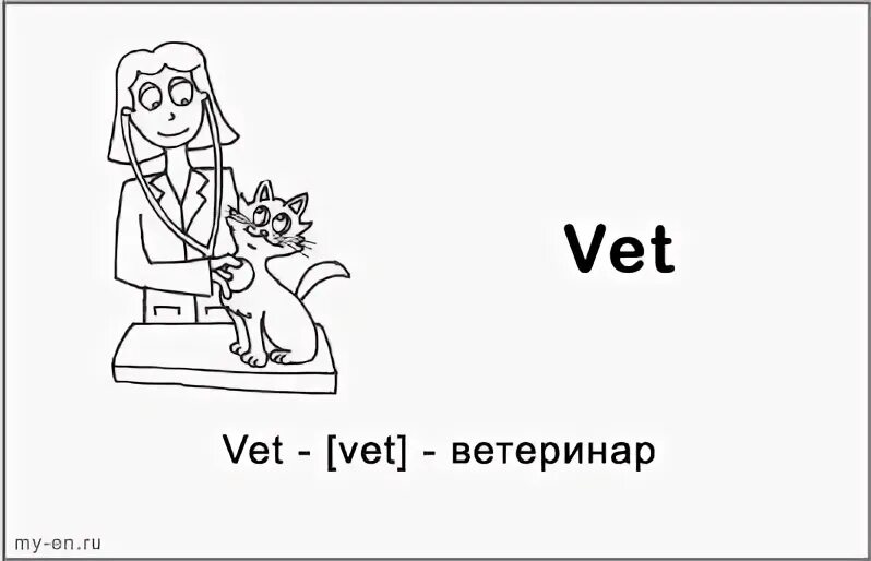 Veterinarian перевод. Ветеринар. Ветеринар эстетика профессии. He is a vet. A vet перевод.
