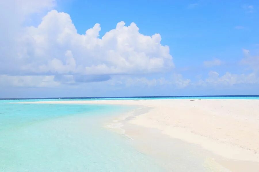 Остров Гаафару Мальдивы. Sandbank Мальдивы остров пикник. OE Dhuni Finolhu Sandbank. Мальдивы ПРАНК видео море. Local island