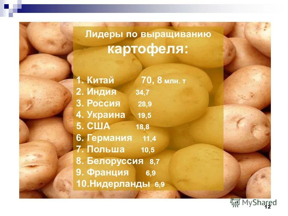 страны производители картофеля. страны лидеры по производству картофеля. крупнейшие производители картофеля в мире. какие страны выращивают картофель. какие страны выращивают картофель.