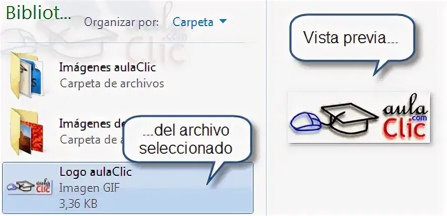 Vista previa. Vista previa