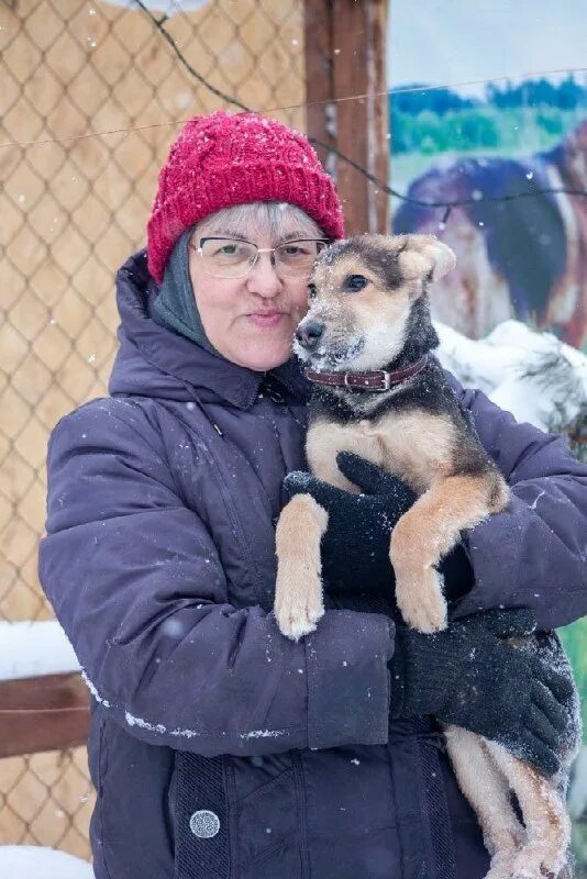 Питомцы тонут кого ты спасешь. Приют дог хаус томск. Приют для собак. Игровая программа до свидания лето. Приют для бездомных в томске.