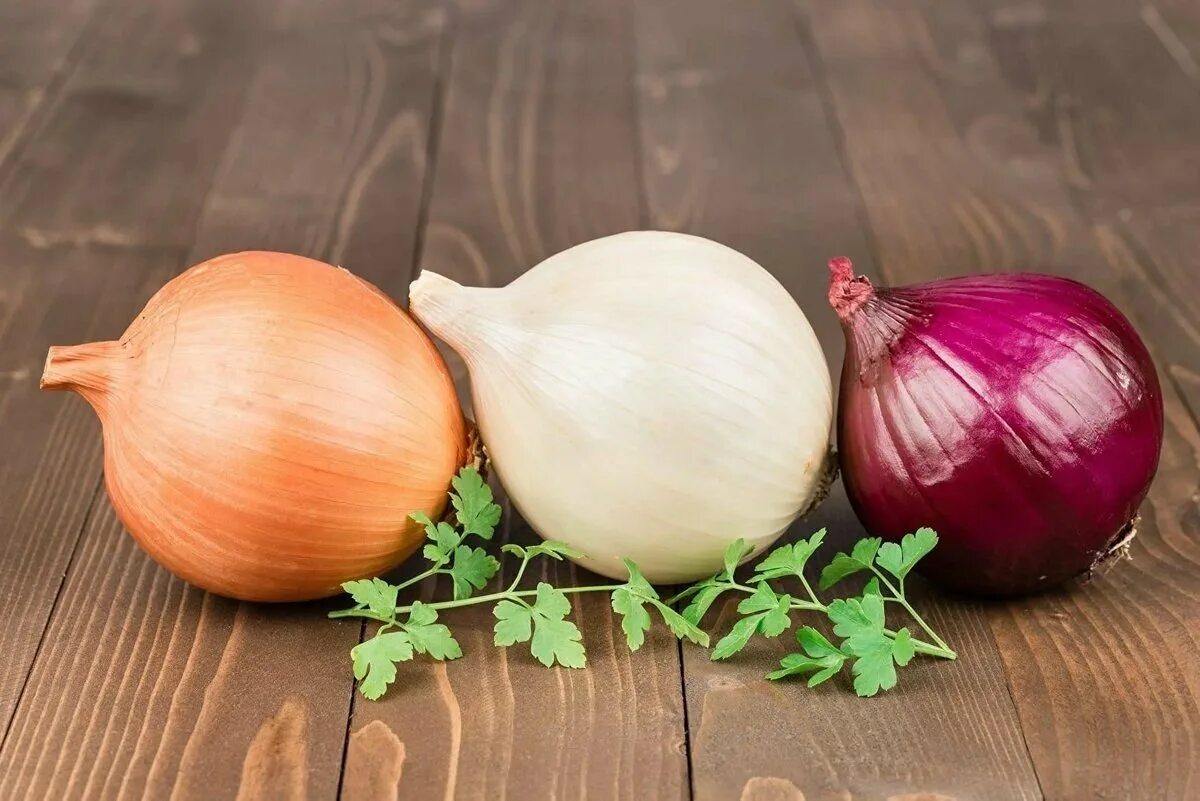 Onion vegetables. Лук-севок Стардаст. Лук репчатый Гордион. Арзамасский лук севок. Лук цибуля сорт.