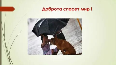 Не без добрых