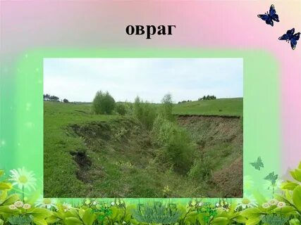 В весеннем лесу скребицкий презентация