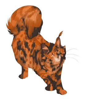 Tortoiseshell warrior cats