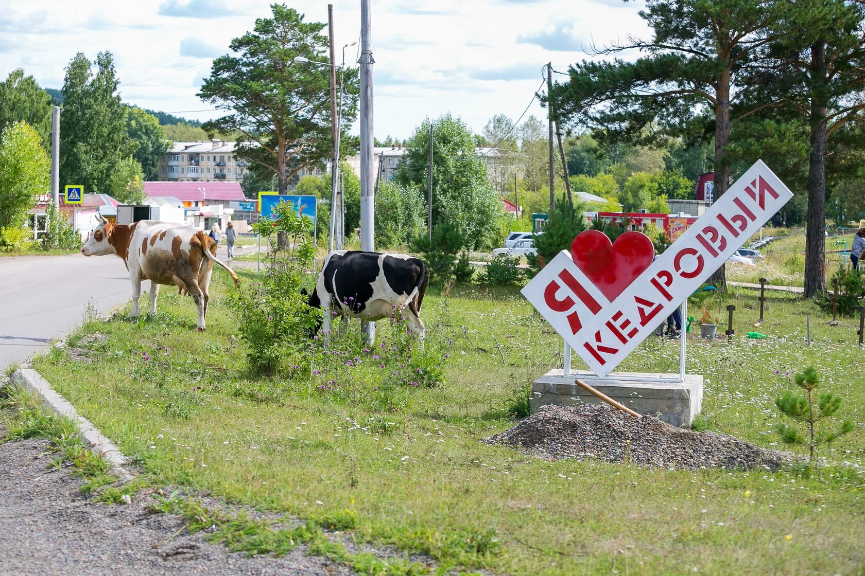 Поселок Кедровый Красноярский край. Пгт Кедровый Емельяновский район. Пос Кедровый Красноярский край Емельяновский район. Красноярск 66. Поселок новый красноярского края