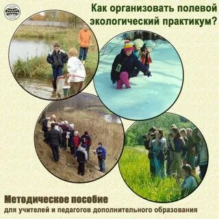 Организовать окружить