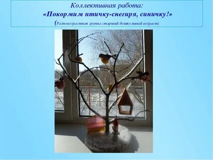 Покормите птиц зимой 2024