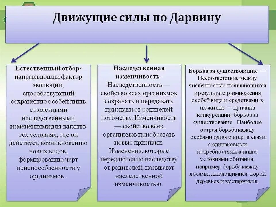 Движущие силы эволюции Дарвина. Движущие силы эволюционной теории Дарвина. Основные движущиеся силы эволюции по Дарвину. Факторы движущие силы эволюции. Что лежит в основе эволюционных изменений