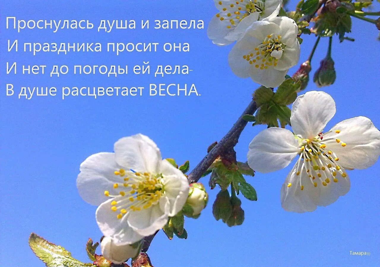 Душа просит весны. Душа проснулась.