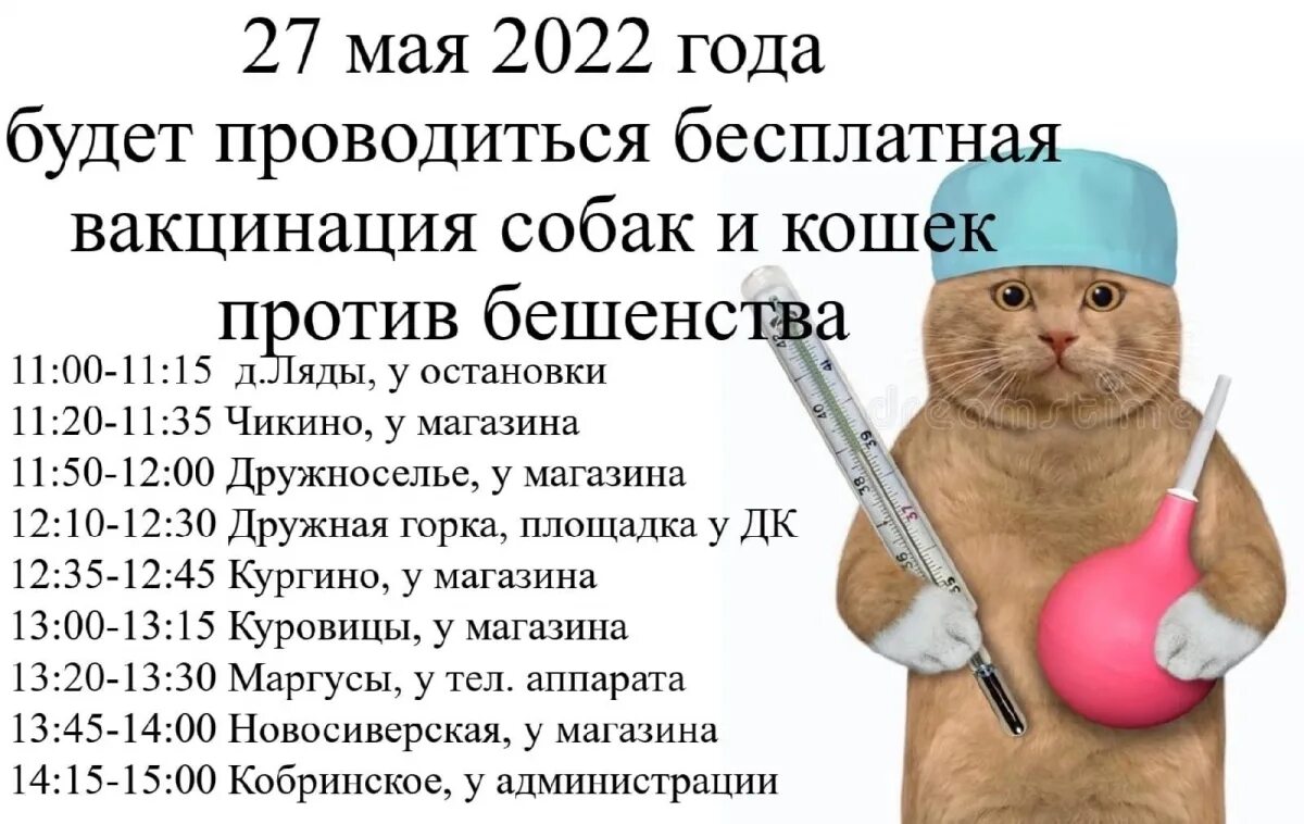 Бесплатная вакцинация собак и кошек. Бесплатная прививка от бешенства кошке. Вакцинация против иммунодефицита кошек. Вакцинация собак и кошек против бешенства. Бесплатная прививка от бешенства кошке в москве