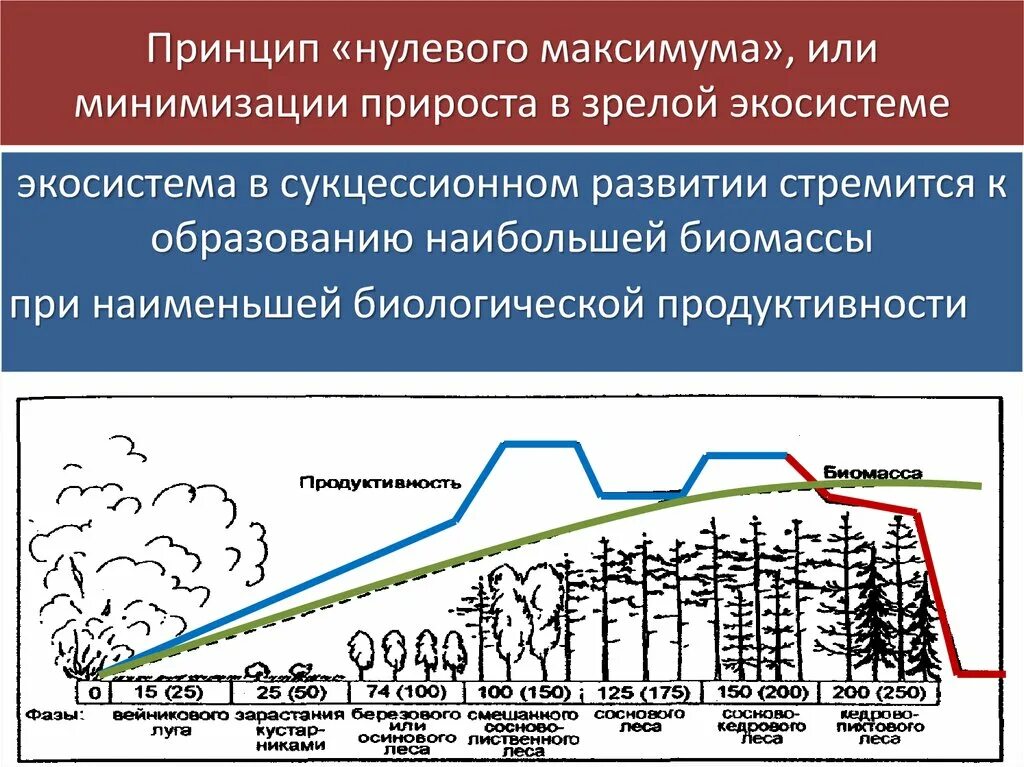 Последовательность увеличения биологической продуктивности природных зон. Первичная продуктивность экосистемы. Принцип нулевого максимума. Гомеостаз экосистемы. Принцип формирования экосистемы.