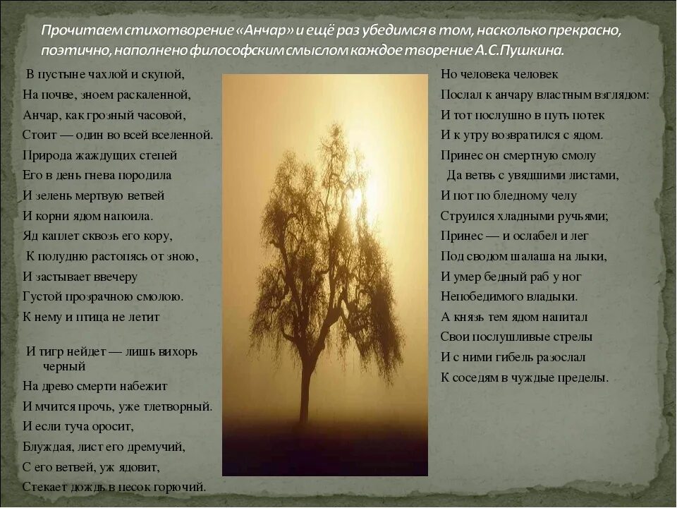 Стихотворение пушкина анчар текст. Анчар стихотворение Пушкина. Анчар Пушкин стихотворение. Дерево Анчар Пушкин. Анчар стихотворение Лермонтова.