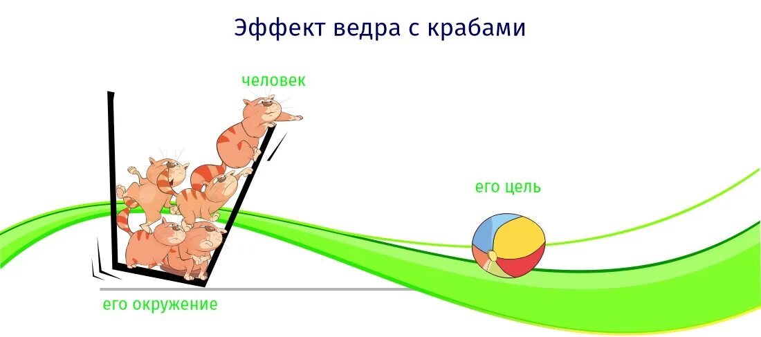 Теория ведра с крабами. Эффект крабового ведра. Эффект ведра с крабами в психологии. Принцип ведра с крабами.