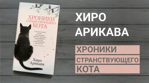 Хроники кота