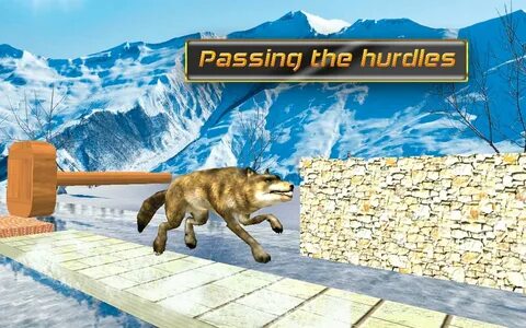 Wolf adventures