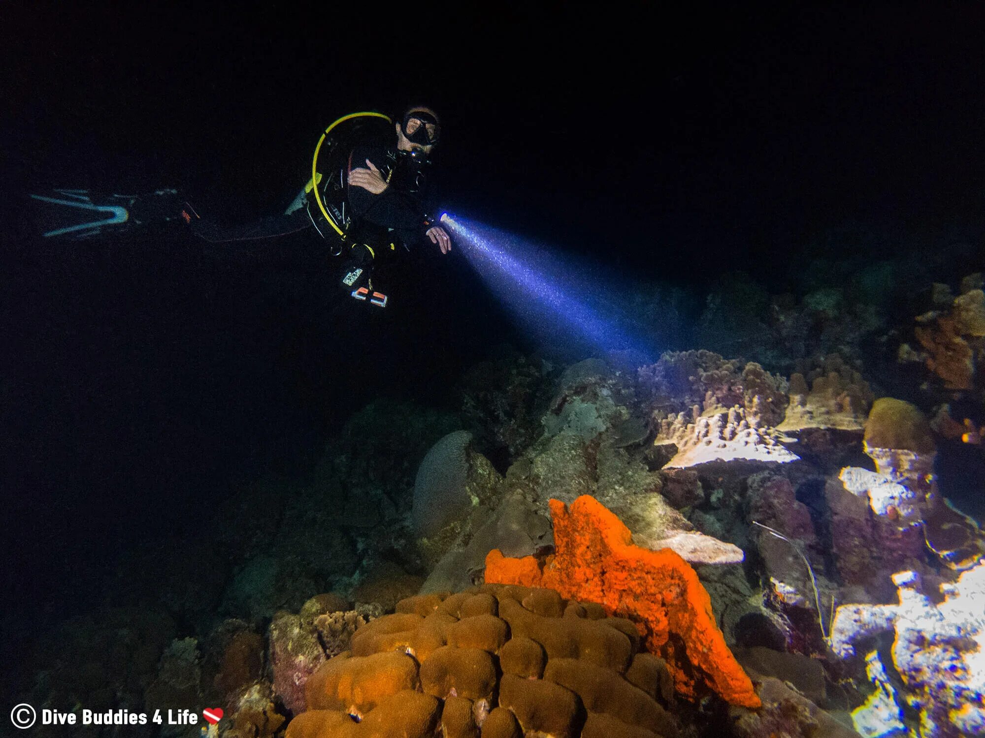 Dark dive
