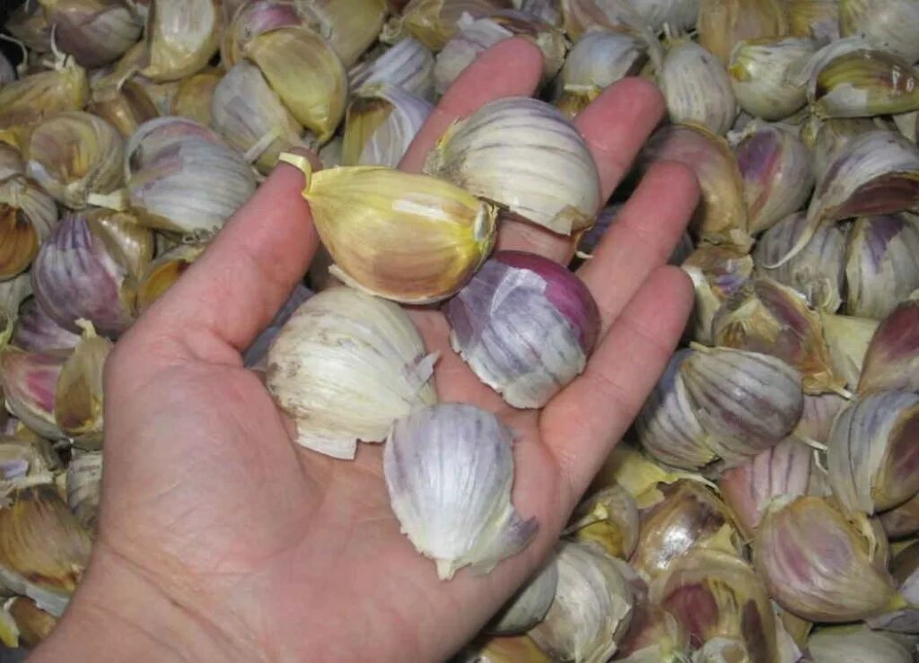 редкие проверенные