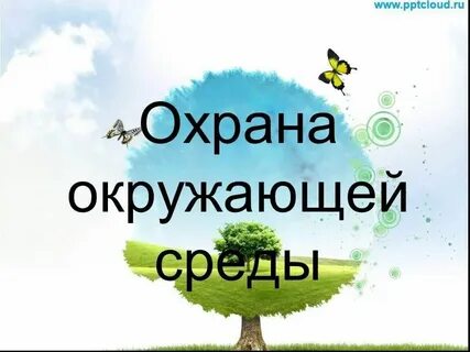 Презентация защита среды