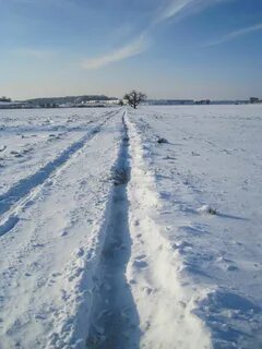 Горизонт зимой