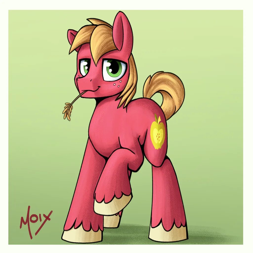 Big Mac Pony Art. Понибой Sophie. Пони бой я. Бой пони икабанов. Russian pony