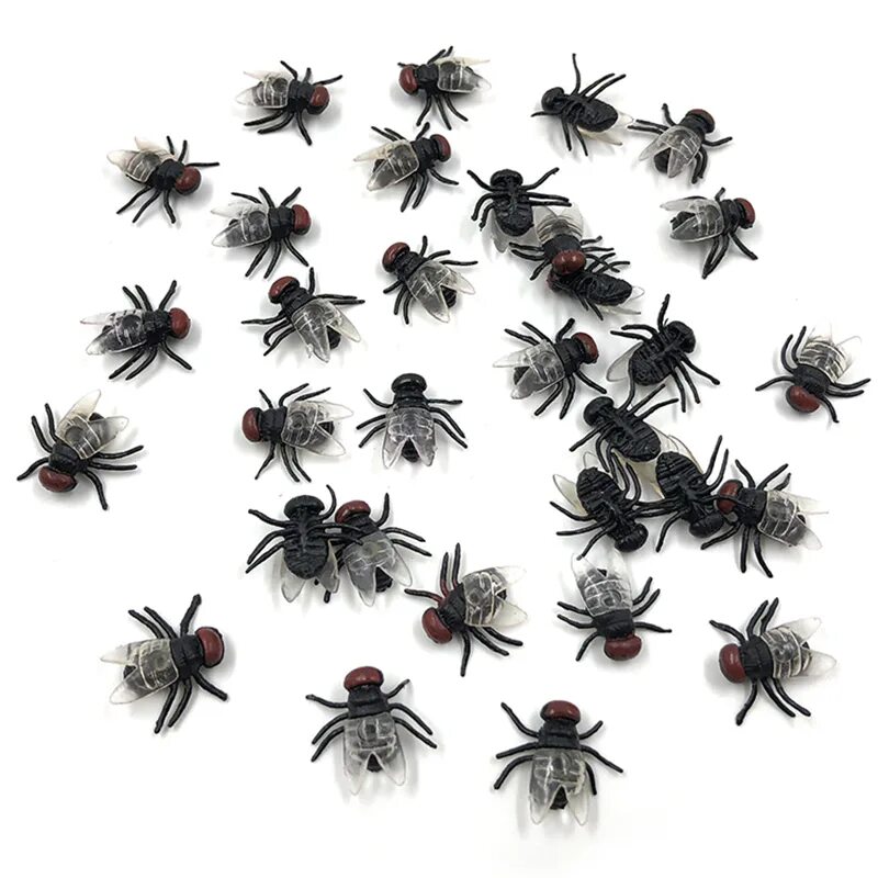 Bugs flies