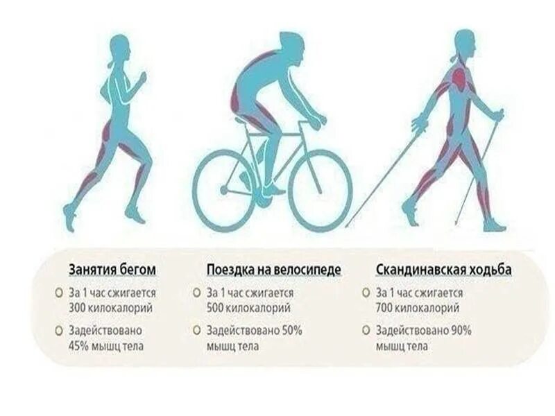 Сколько ккал сжигает ходьба. Расход калорий при скандинавской ходьбе таблица. сколько калорий тратится при скандинавской ходьбе. скандинавская ходьба ккал. сжигание калорий при скандинавской ходьбе.