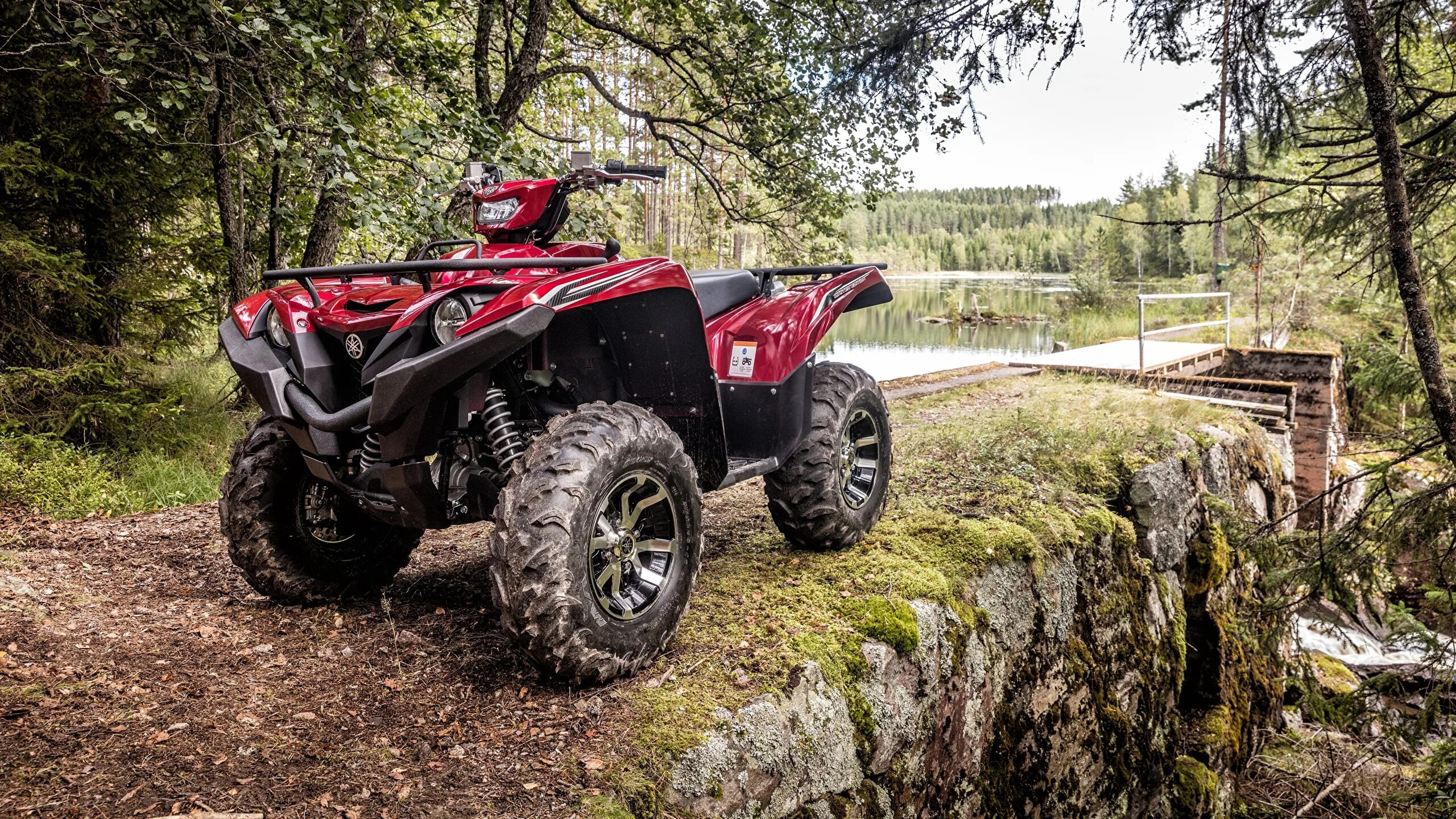 Квадро годы. Квадроцикл Yamaha Grizzly 700. Yamaha Grizzly 700 eps. Yamaha Grizzly 700 2017. Yamaha Grizzly 700 Limited.