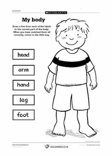 Parts of the body worksheets