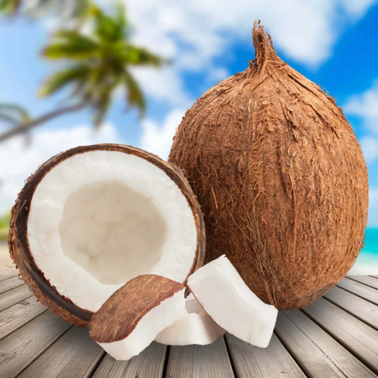 Coconut перевод на русский. Кокос плод костянка. Кокосовый орех. Кокос орех. Кокос это фрукт.