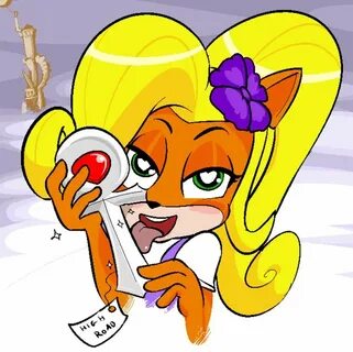 Crash bandicoot coco
