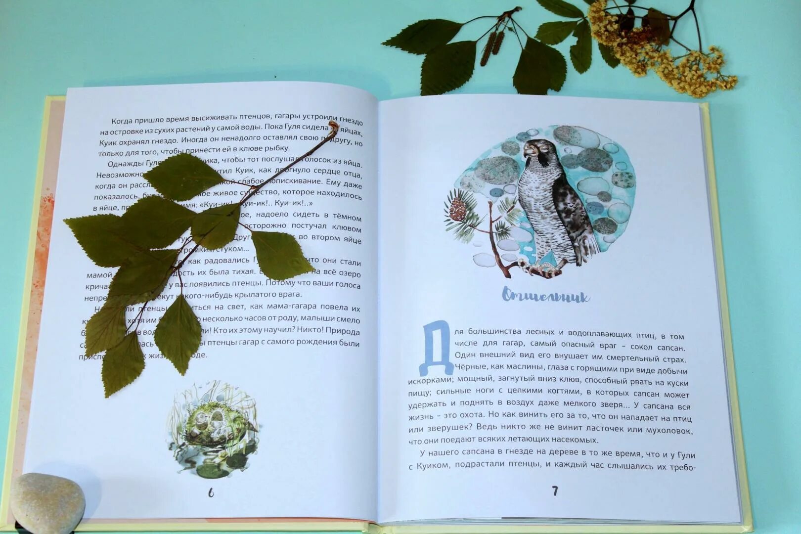 Песня гагара текст. Жила за морем гагара. гагара разворот книги. плач гагары книга.