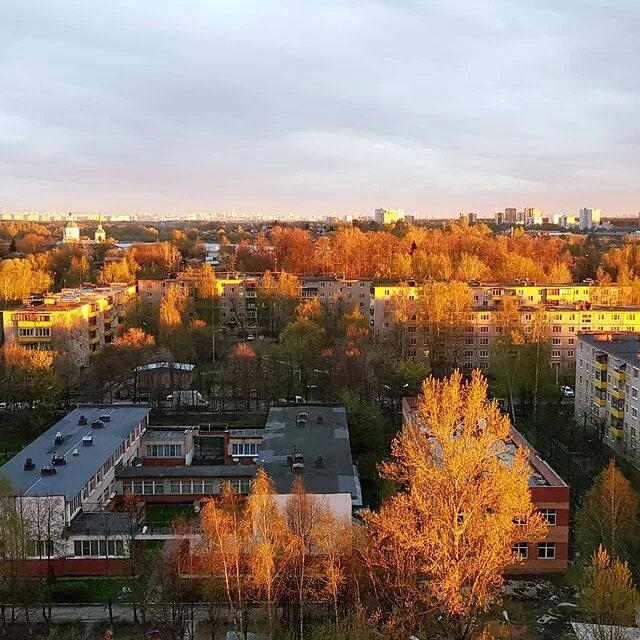 город лобня подмосковье. парк города лобня пруд. городской пруд лобня. лобно московская область. лобня центр города.