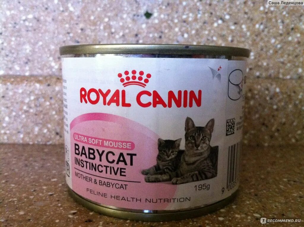 Royal canin babycat. Royal Canin Babycat паштет. Royal Canin Babycat Mousse. Роял Канин для кошек влажный корм Baby Cat. Корм для кошек Royal Canin mother Babycat Mousse.