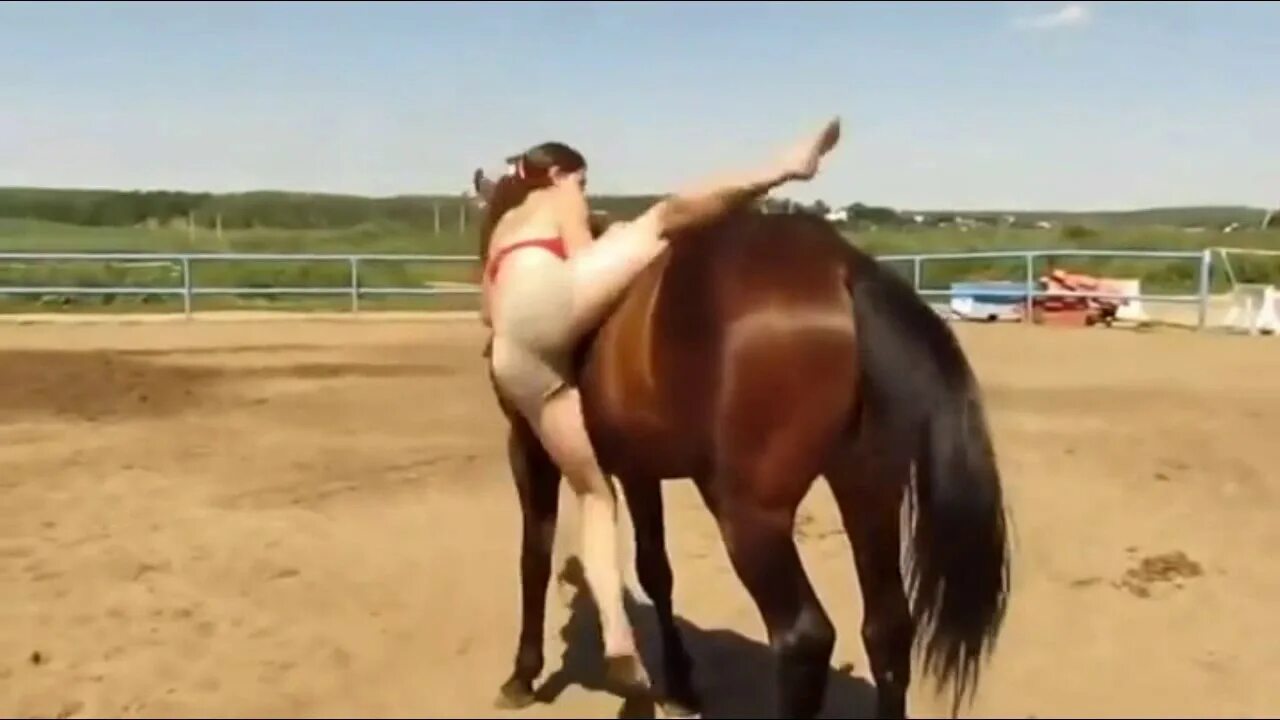 Конь девку видео