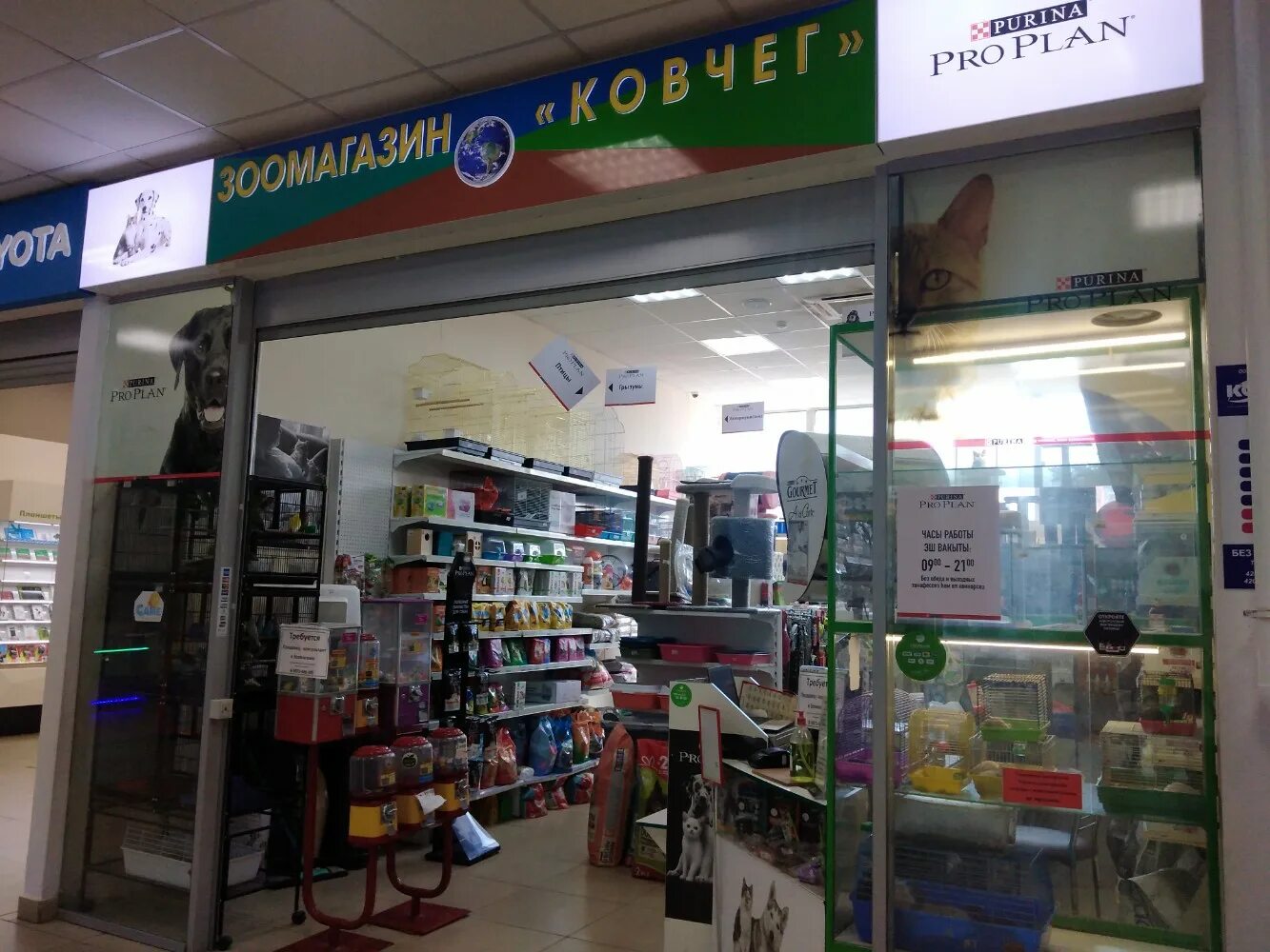 Зоомагазин в пензе ковчег. Ноев ковчег набережные челны. Зоомагазин братск. Название магазина для животных. Зоомагазин ковчег москва.