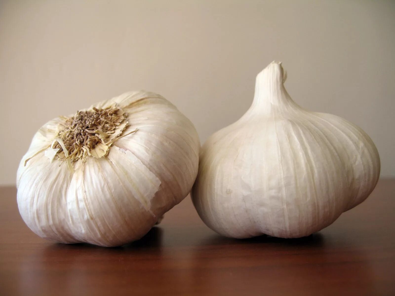 Фото чеснока. Чеснок один. Чеснок garlic. Вареный чеснок. Чеснок jpg.