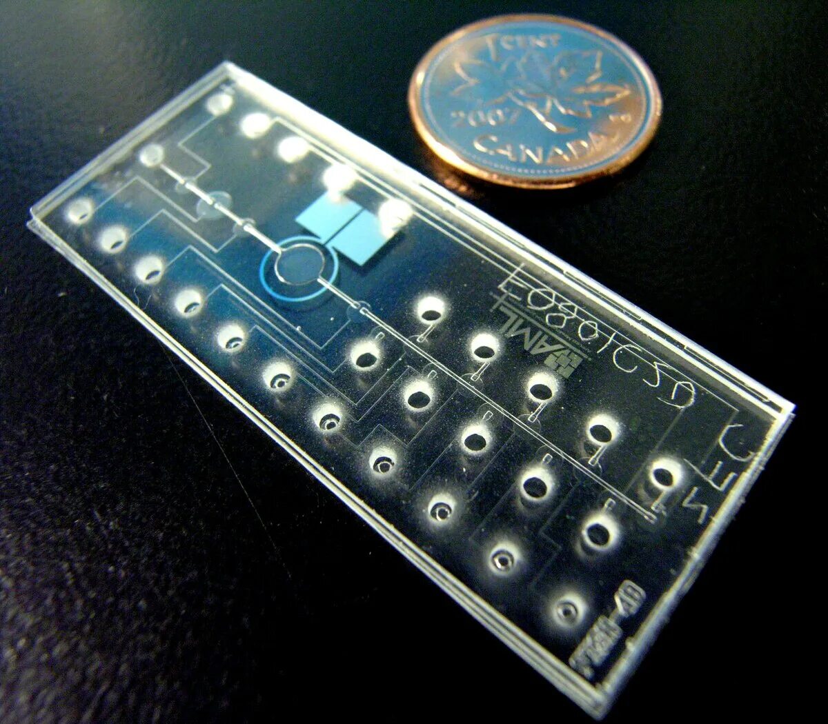 Bio device