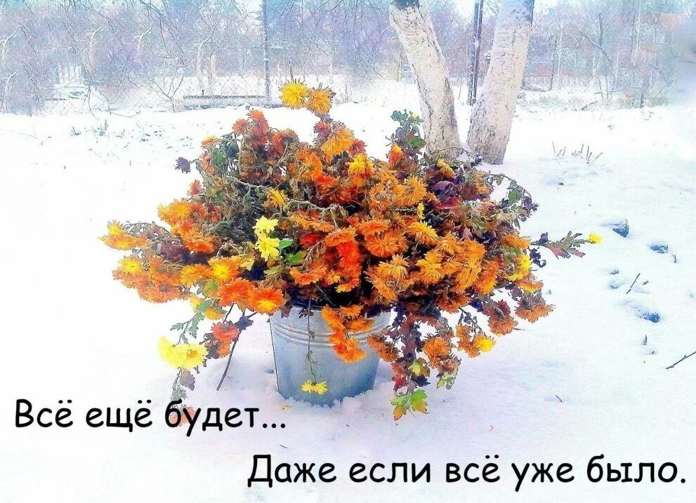 Планы на зиму на день