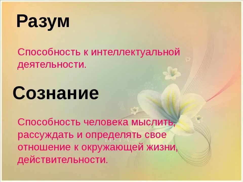 Деятельность человека определяется как разумом