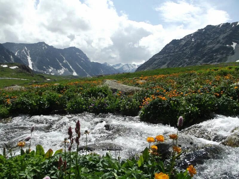 калагаш алтай. большой калагаш. большой кулагаш алтай. большой калагаш. большой калагаш алтай.